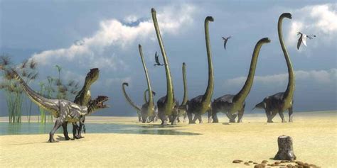 between 65 and 145 million years ago|Explainer: The age of dinosaurs .